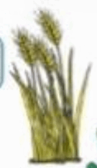0601qao7-818f-200x347.png