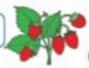 0601qaoq-f89a-284x220.png