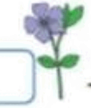 0601qapc-72d0-188x222.png