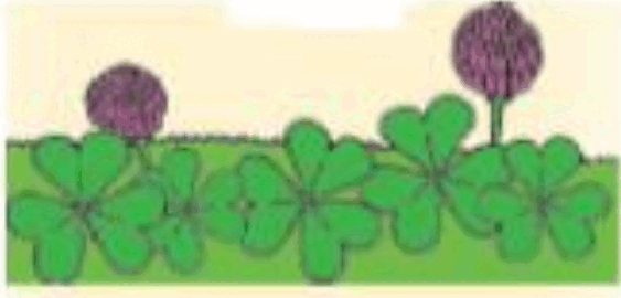0601qbc4-9fbb-563x270.png