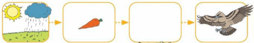 0601qbch-c77a-828x142.png