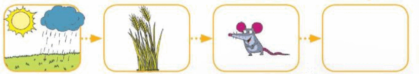 0601qbd3-c0f3-828x146.png