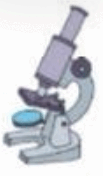 0601qbke-9522-352x604.png