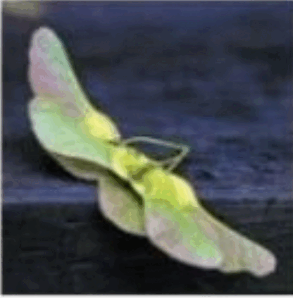 0601qbsw-d259-416x423.png