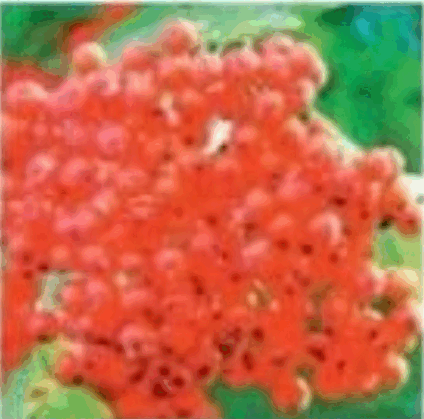 0601qbtj-5ae7-424x419.png