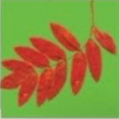 0601qbtx-03cf-407x407.png