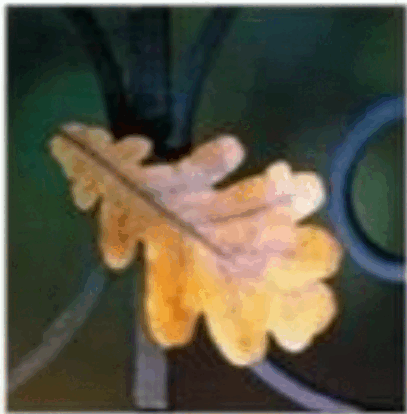 0601qbuc-9ffd-407x414.png