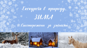 Екскурсія в природу порами року. ЗИМА. Спостереження за змінами в довкіллі