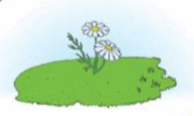 0601qc0s-0cc9-636x382.png