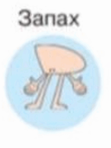 0601qc9c-7a90-355x474.png