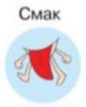 0601qc9m-b4be-349x432.png