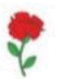 0601qcap-066c-213x262.png