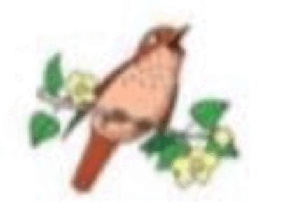 0601qcbg-7c3e-414x304.png