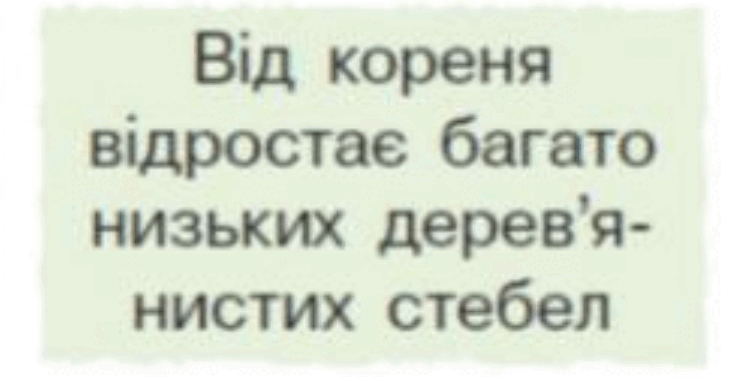 0601qcvi-f974-749x382.png