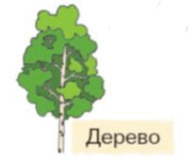 0601qcww-66f8-621x555.png