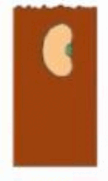 0601qddg-962a-158x264.png