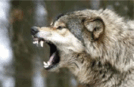 0601qdvm-5eba-134x87.png