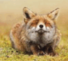 0601qdyn-9d92-99x89.png