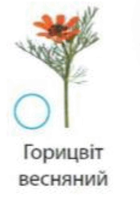 0601qf0l-db02-472x666.png