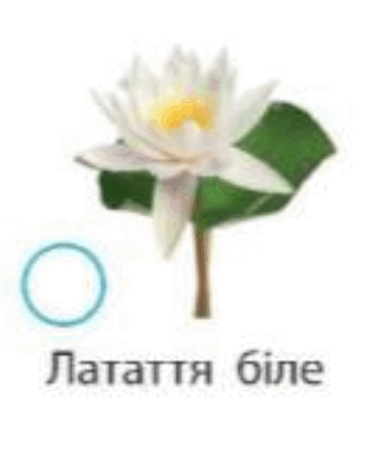 0601qf1u-2827-558x664.png