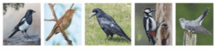 0601qfdk-520c-732x171.png