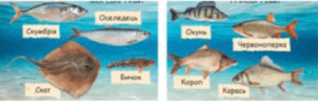 0601qfed-7359-459x157.png