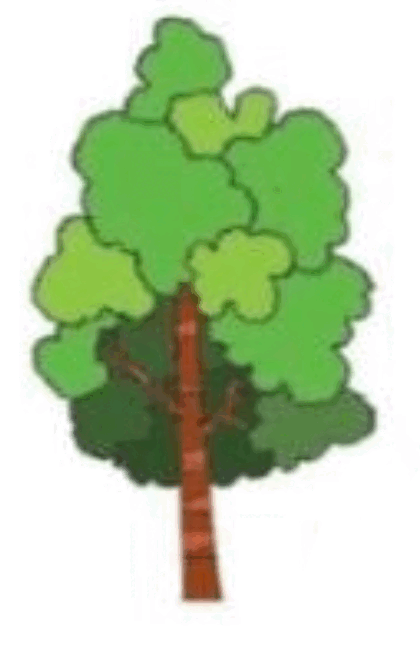 0601qg1w-b6b4-420x647.png
