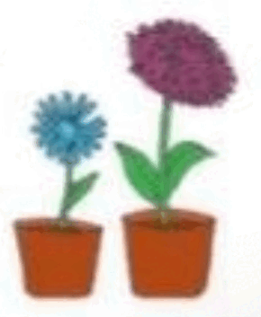 0601qg2m-36bc-290x353.png