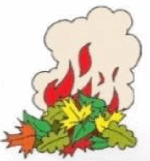 0601qg58-5455-477x513.png