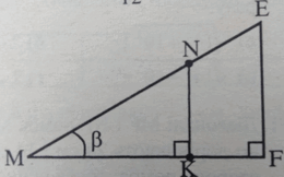 0601qgeo-9ece-260x162.png