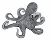 0601qgv8-6d74-175x145.png