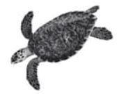 0601qgvd-1504-171x134.png