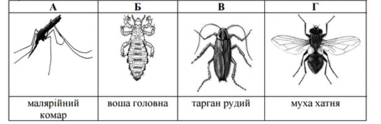 0601qgwy-2d61-786x256.png