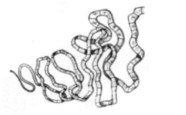 0601qh2l-aff2-270x167.png