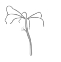 0601qh3x-a7c0-199x203.png