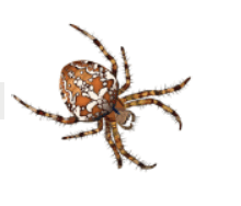 0601qh40-8cb3-220x188.png