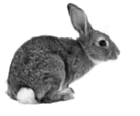 0601qh48-5fe3-199x165.png