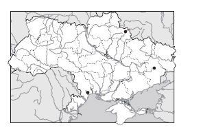 0601qj1p-3e99-296x189.png