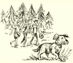 0601qjrj-17f3-239x208.png