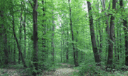 0601qknv-1a0e-181x107.png