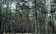 0601qkom-b1a7-181x110.png