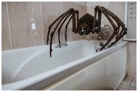 Mommy Spider in the Bath! by Joker-laugh on DeviantArt