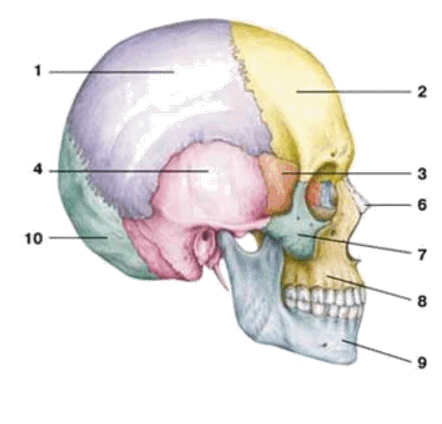 0601qzec-d931-442x424.png
