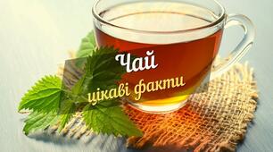 10 цікавих фактів про чай