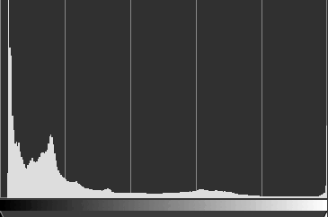 0601r9j9-5d1c-365x242.png
