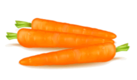 0601rapp-2562-278x163.png