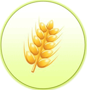 0601rc18-7776-289x300.png