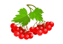0601rc3v-a2a9-214x148.png