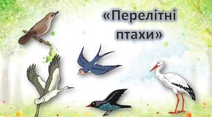 Презентація для дошкільнят. Заняття "Зустрічаємо птахів". Перелітні птахи