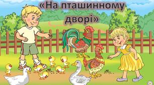 Презентація для дошкільнят. Заняття "На пташиному дворі". Свійські птахи